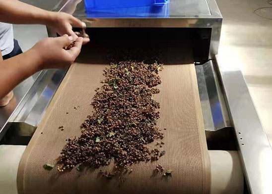 微波设备在农产品加工业的分析及展望